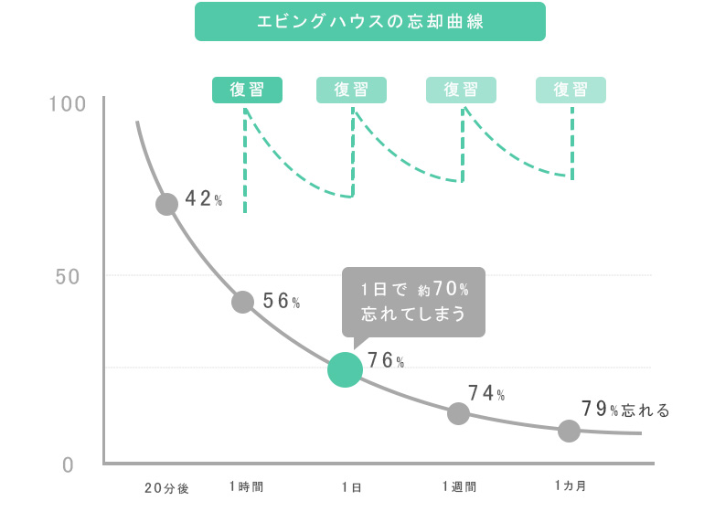 記憶の定着