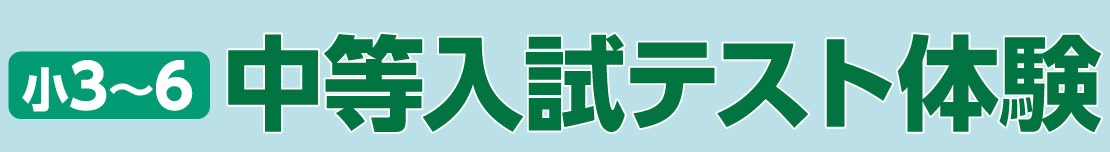 模試