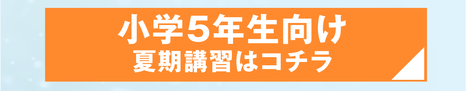 うすい　夏期講習　小5リンクボタン